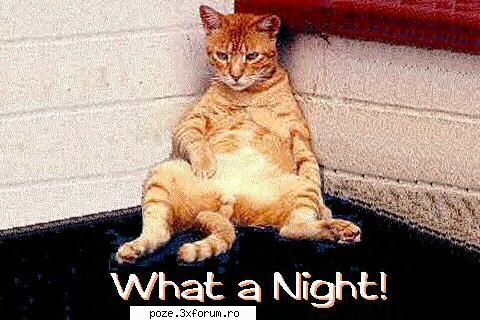:zzz: cateva poze funny