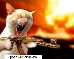 :zzz: cateva poze funny